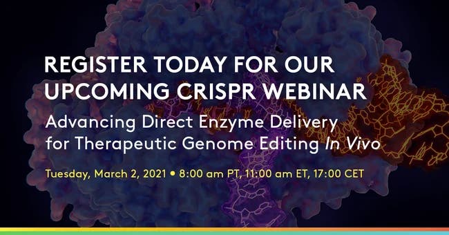 Advancing Direct Enzyme Delivery for Therapeutic Genome Editing In Vivo