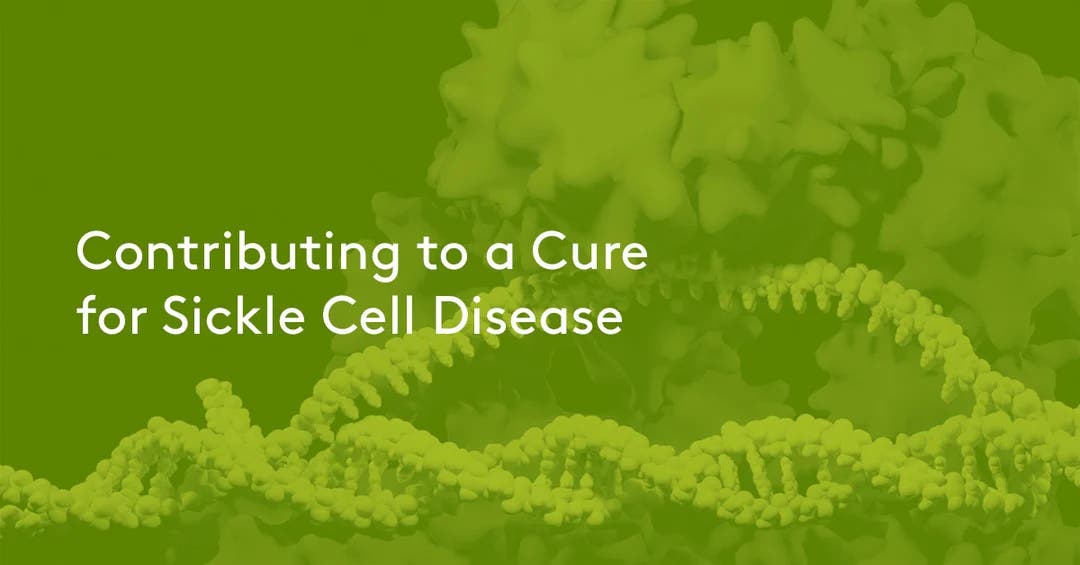 Contributing to a Cure for Sickle Cell Disease