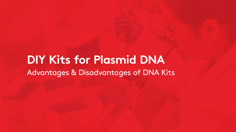5599 DIY Plasmid Production Kits-1