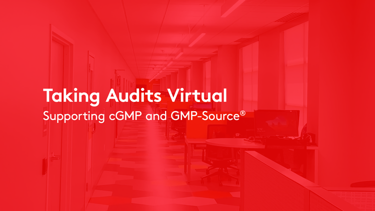 ALD Virtual Audits RED