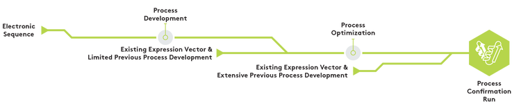 Technical transfer process