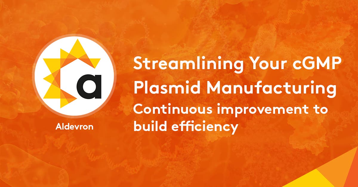 Streamlining Your cGMP Plasmid Manufacturing