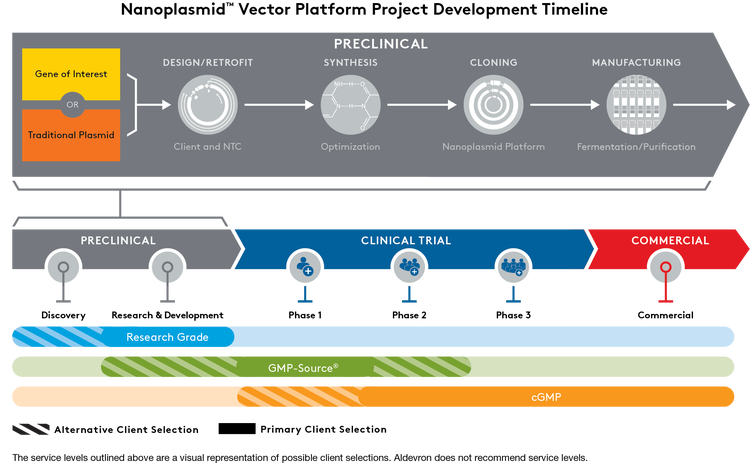 Nanoplasmid Development@4x