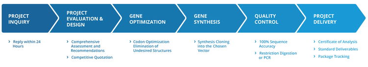 Full-Service Gene Synthesis