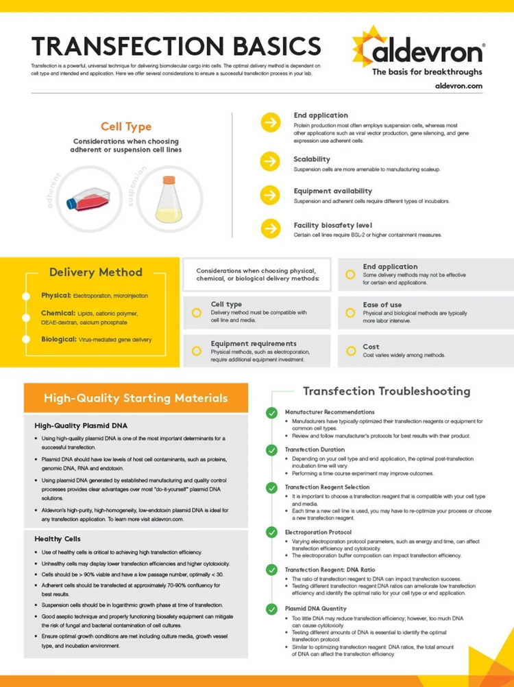 Transfection Basics Poster
