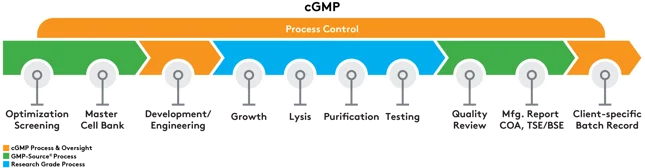 ALD cGMP Process & Oversight@4x