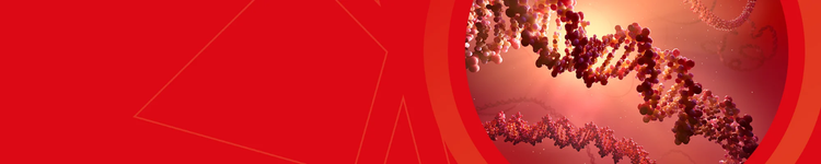 NanoplasmidTM Whitepaper