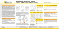 Nanoplasmid™ platform for superior AAV and mRNA vectors yield and stability